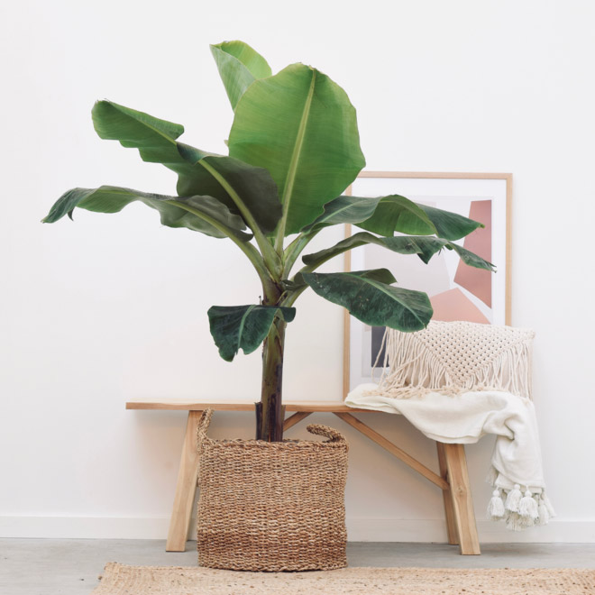 Green_Bubble_ContentCollectiv