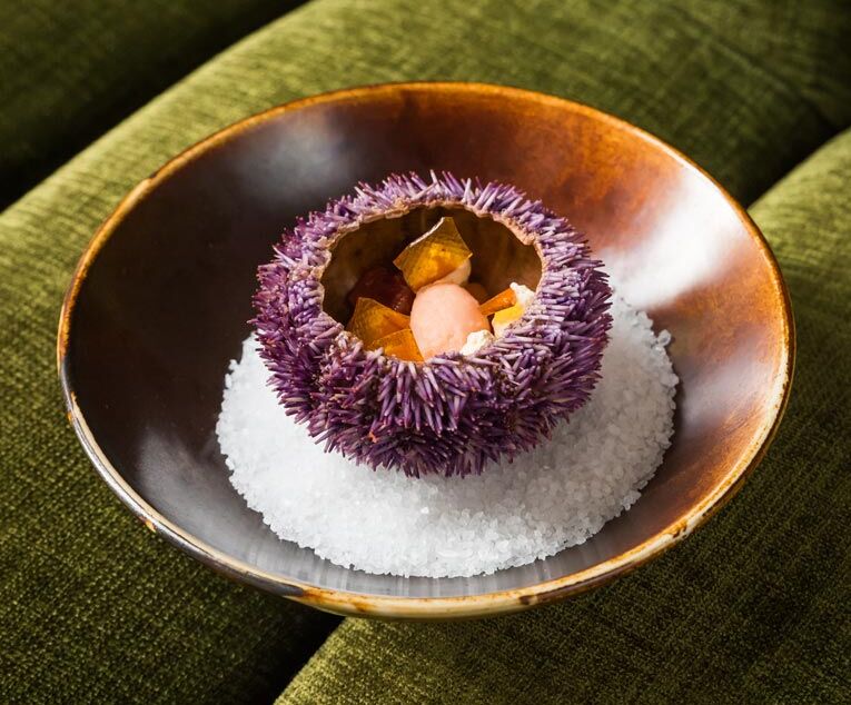 Villa-Coucou—Horeca-marketing—home